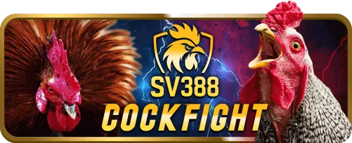 Đá gà trực tiếp open88 win